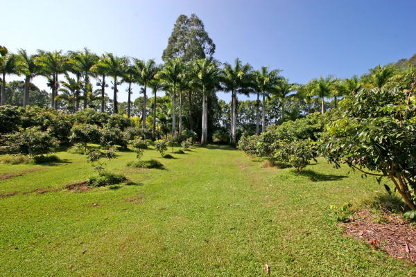 29-545 Chin Chuck Road Hakalau, HI 96781 - Photo 12 of 17