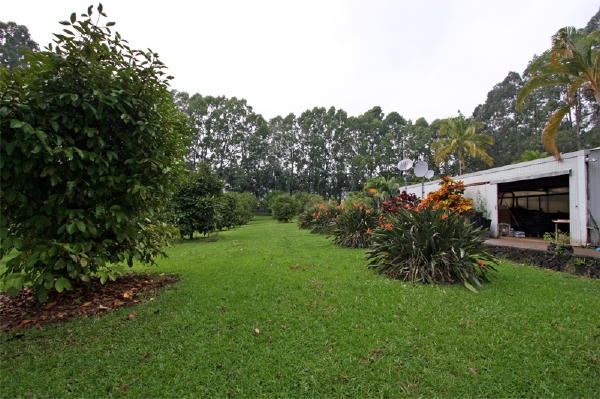 29-545 Chin Chuck Road Hakalau, HI 96781 - Photo 15 of 17