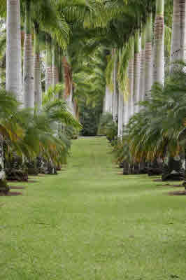 29-545 Chin Chuck Road Hakalau, HI 96781 - Photo 17 of 17