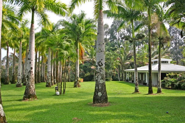 29-545 Chin Chuck Road Hakalau, HI 96781 - Photo 2 of 17