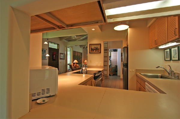 29-545 Chin Chuck Road Hakalau, HI 96781 - Photo 4 of 17