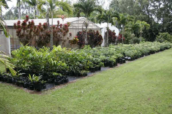 29-545 Chin Chuck Road Hakalau, HI 96781 - Photo 10 of 17