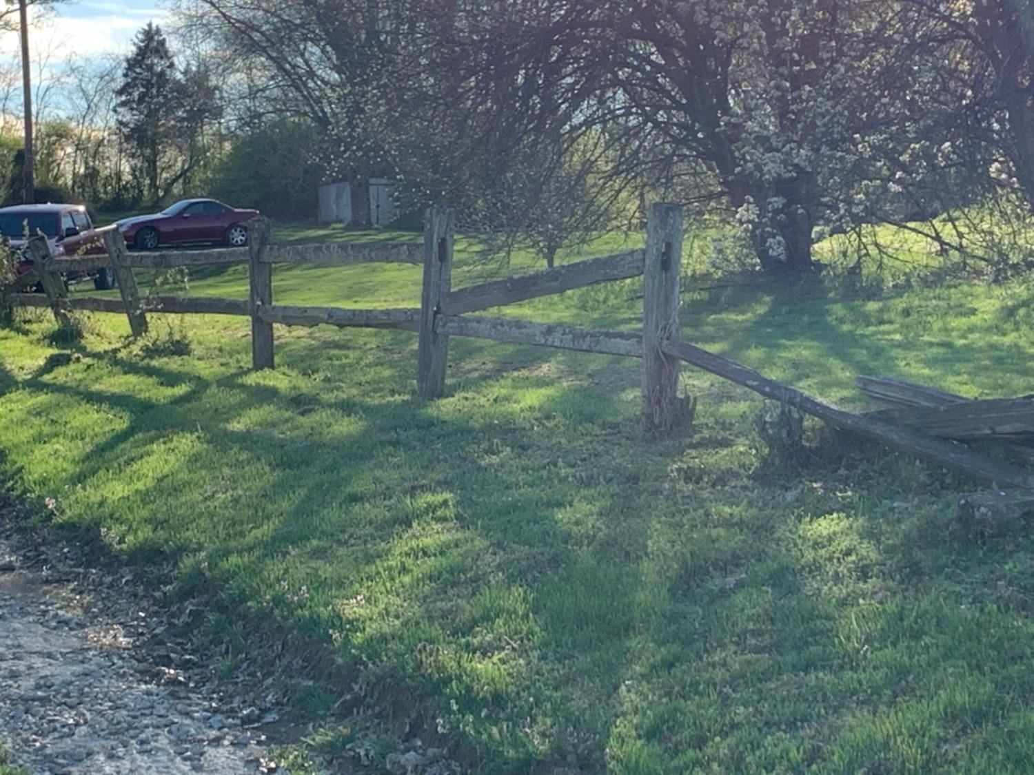 261 Colville Road Paris, KY 40361 - Photo 63 of 67 Listing Photo