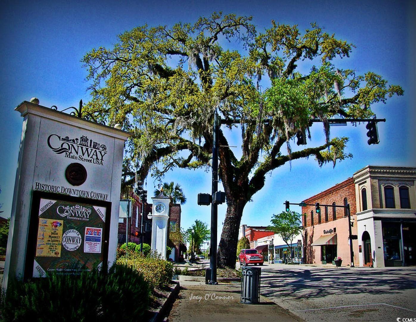 1013 Clamour Court Conway, SC 29526 - Photo 15 of 25