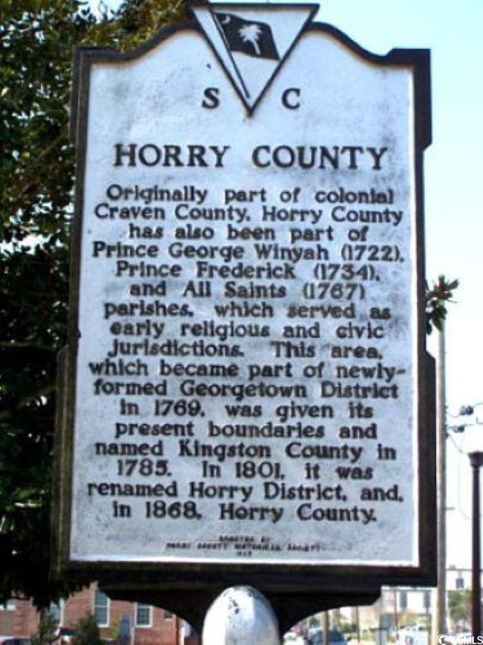 1013 Clamour Court Conway, SC 29526 - Photo 16 of 25 Exterior view