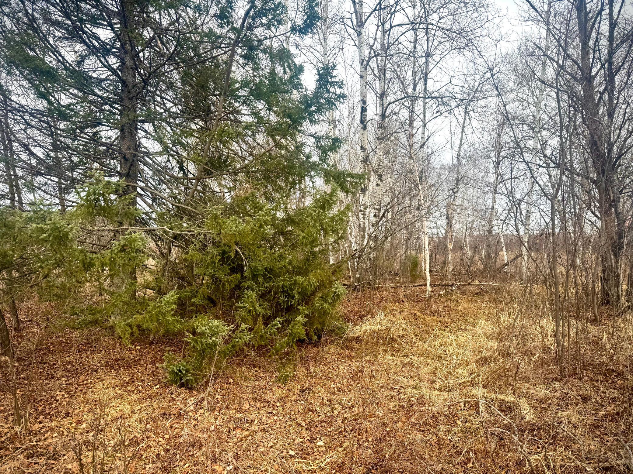 2022 Dixon Line Road Finlayson, MN 55735 - Photo 11 of 64