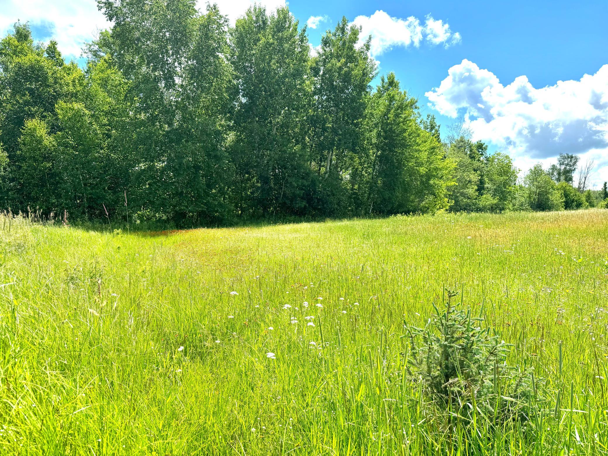 2022 Dixon Line Road Finlayson, MN 55735 - Photo 17 of 64