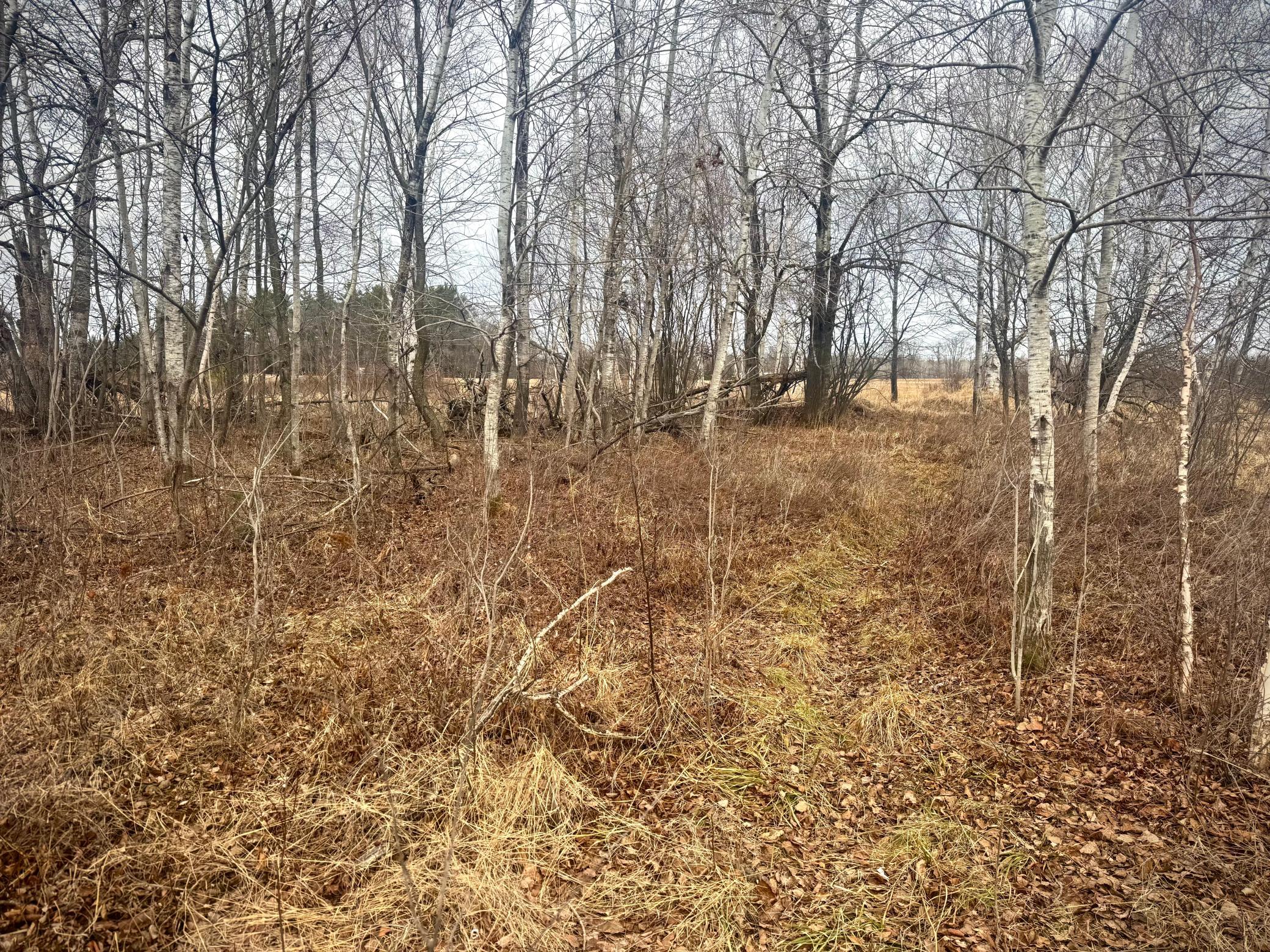 2022 Dixon Line Road Finlayson, MN 55735 - Photo 18 of 64