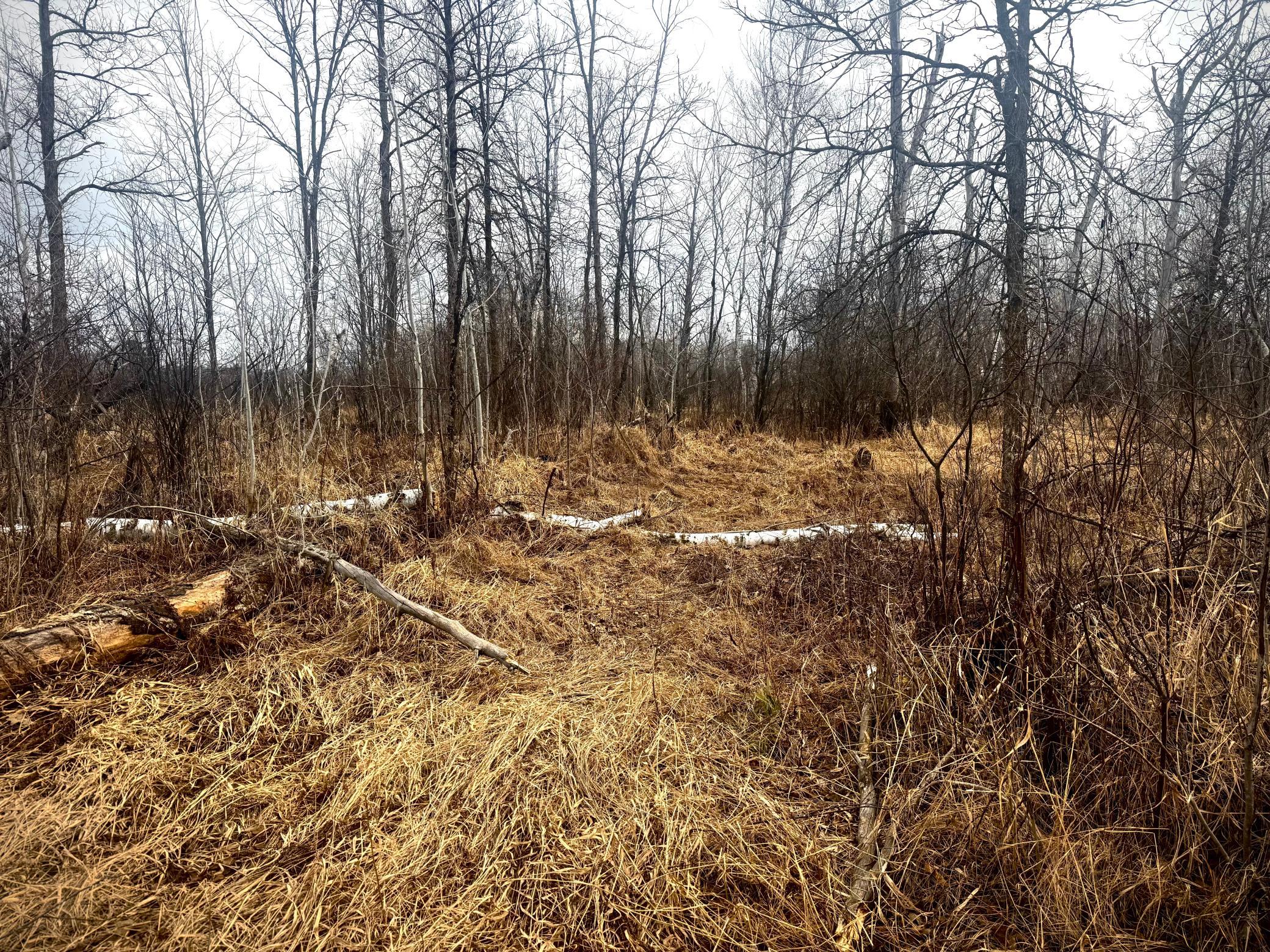 2022 Dixon Line Road Finlayson, MN 55735 - Photo 20 of 64