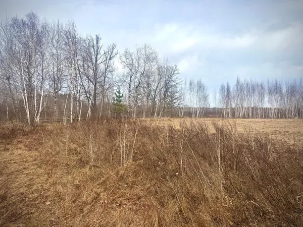 $179,900 | 2022 Dixon Line Road, Finlayson, MN 55735