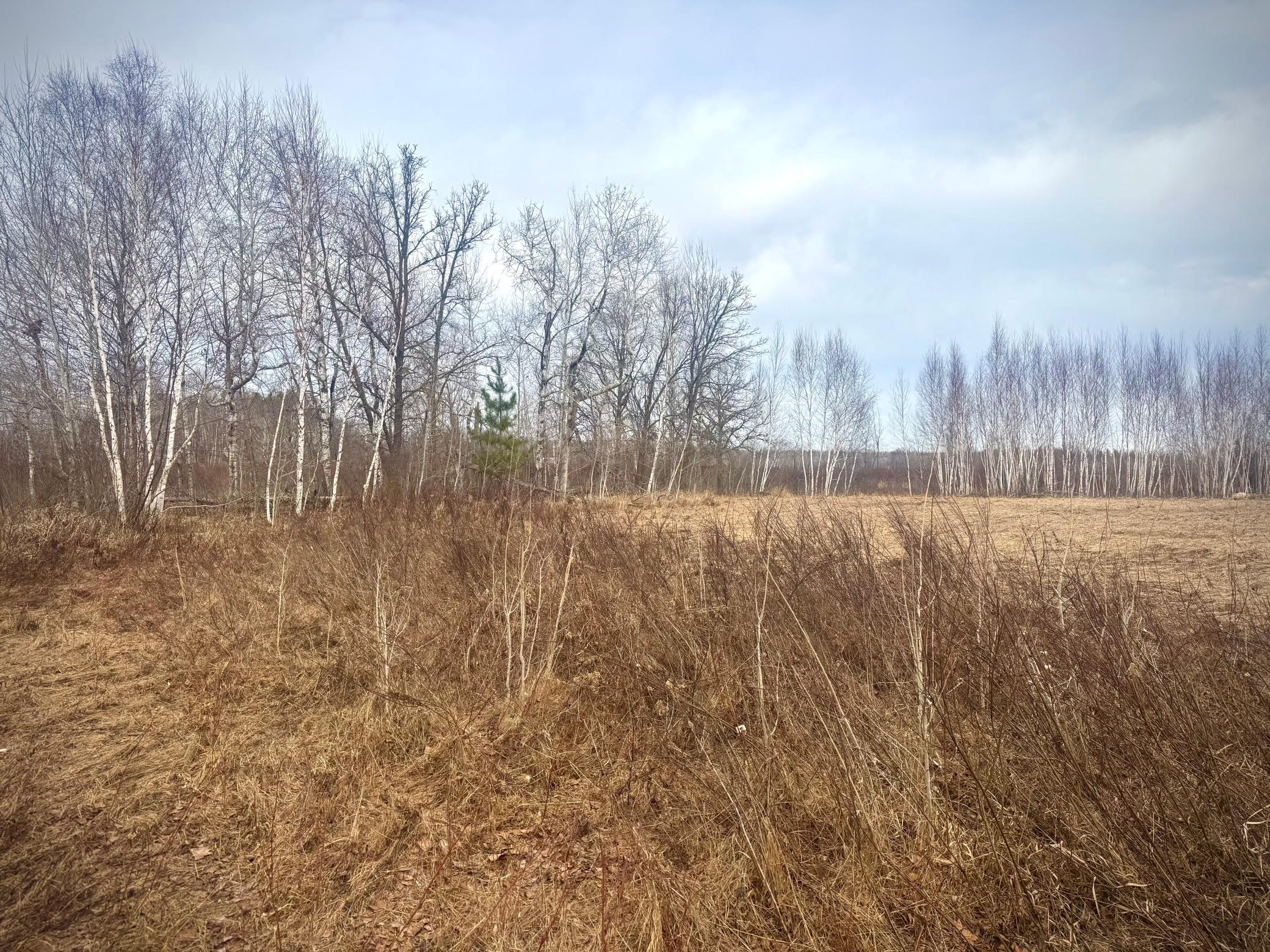 2022 Dixon Line Road Finlayson, MN 55735 - Photo 21 of 64