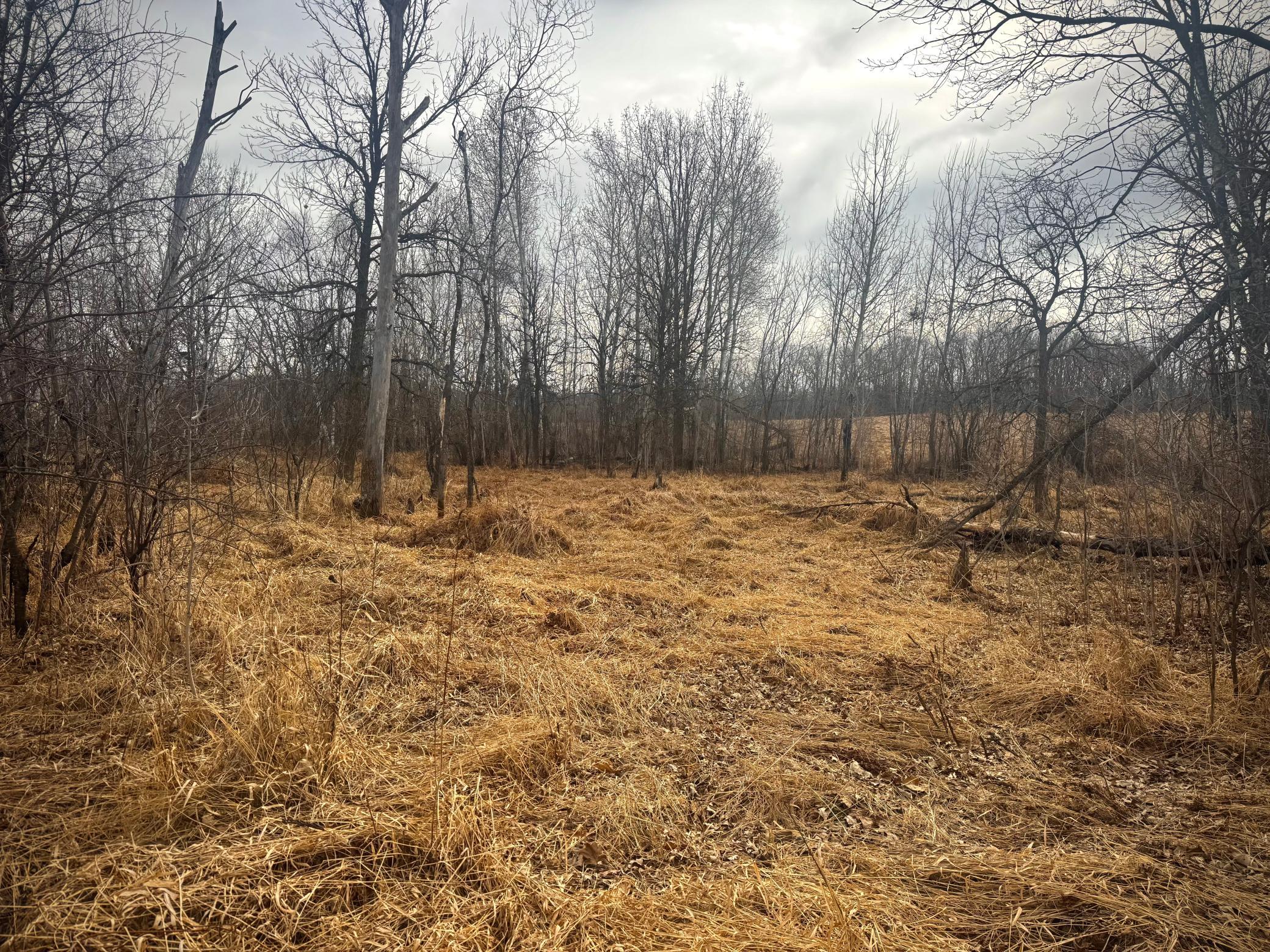 2022 Dixon Line Road Finlayson, MN 55735 - Photo 23 of 64