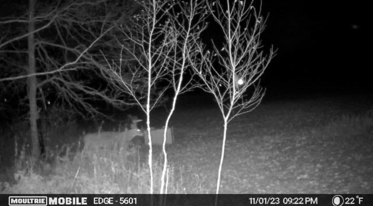 2022 Dixon Line Road Finlayson, MN 55735 - Photo 25 of 64