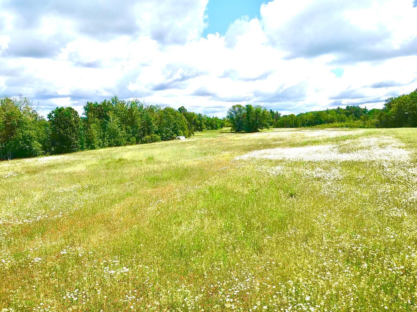 2022 Dixon Line Road Finlayson, MN 55735 - Photo 27 of 64