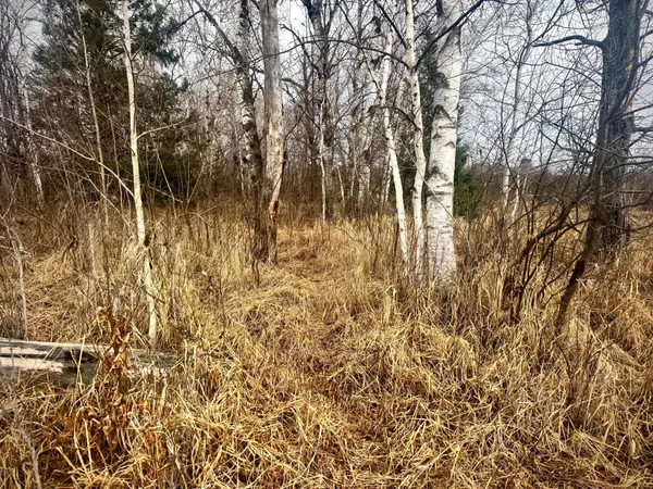 $179,900 | 2022 Dixon Line Road, Finlayson, MN 55735