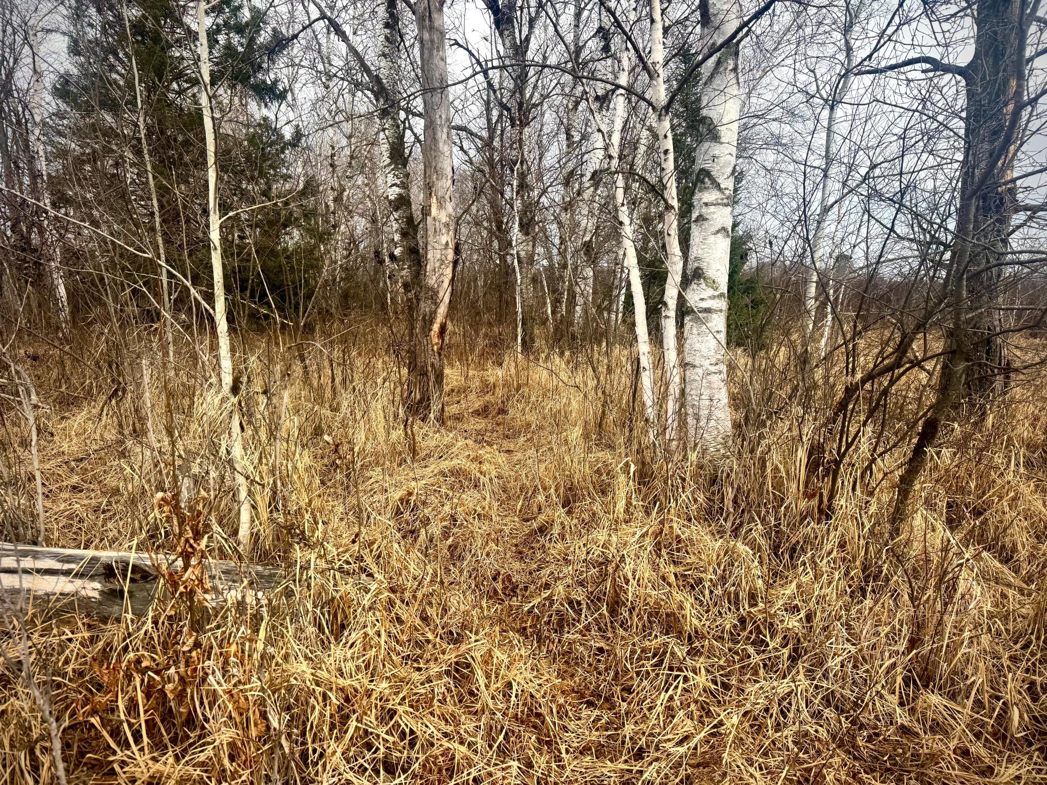 2022 Dixon Line Road Finlayson, MN 55735 - Photo 28 of 64