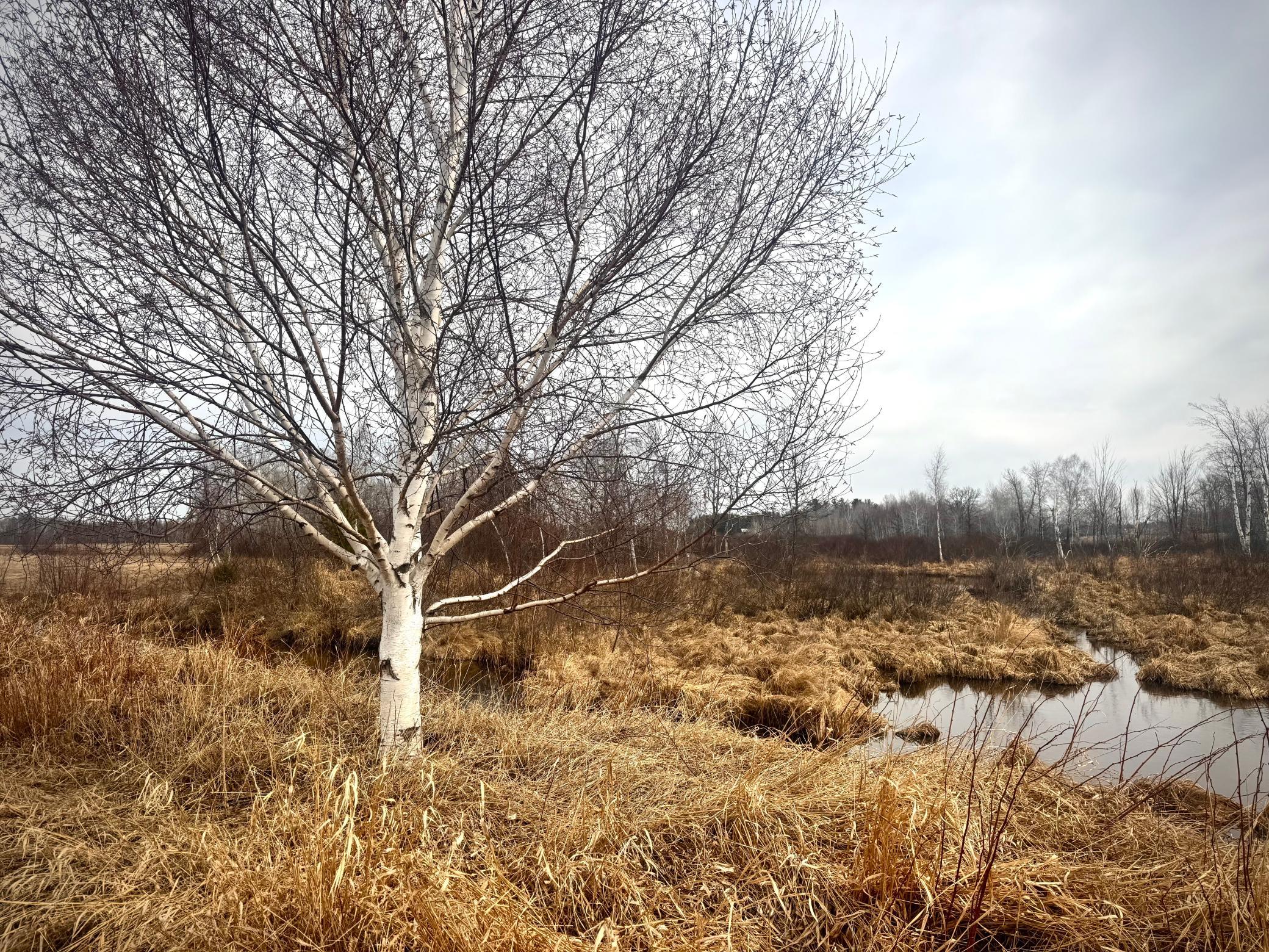 2022 Dixon Line Road Finlayson, MN 55735 - Photo 30 of 64