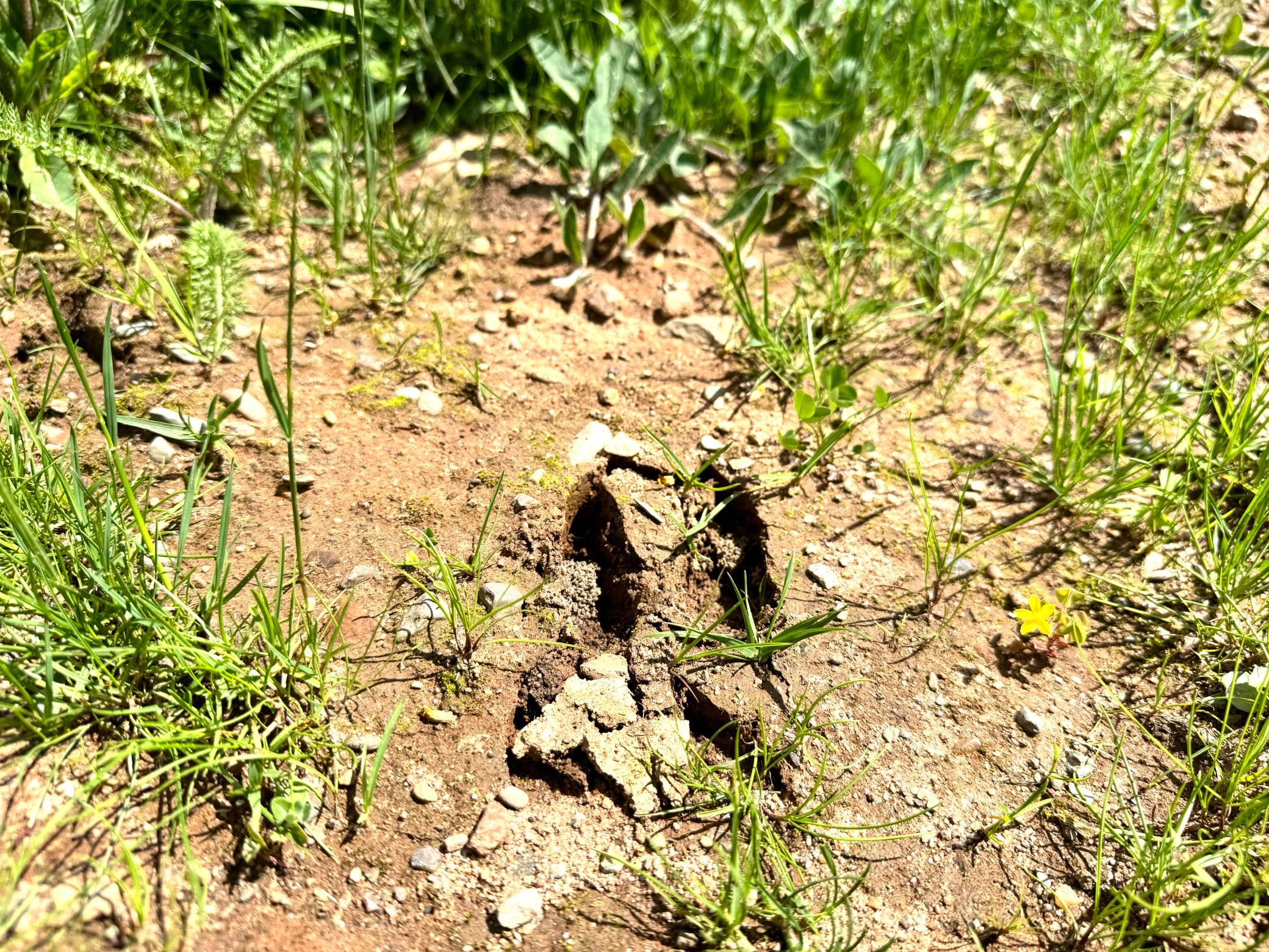 2022 Dixon Line Road Finlayson, MN 55735 - Photo 31 of 64