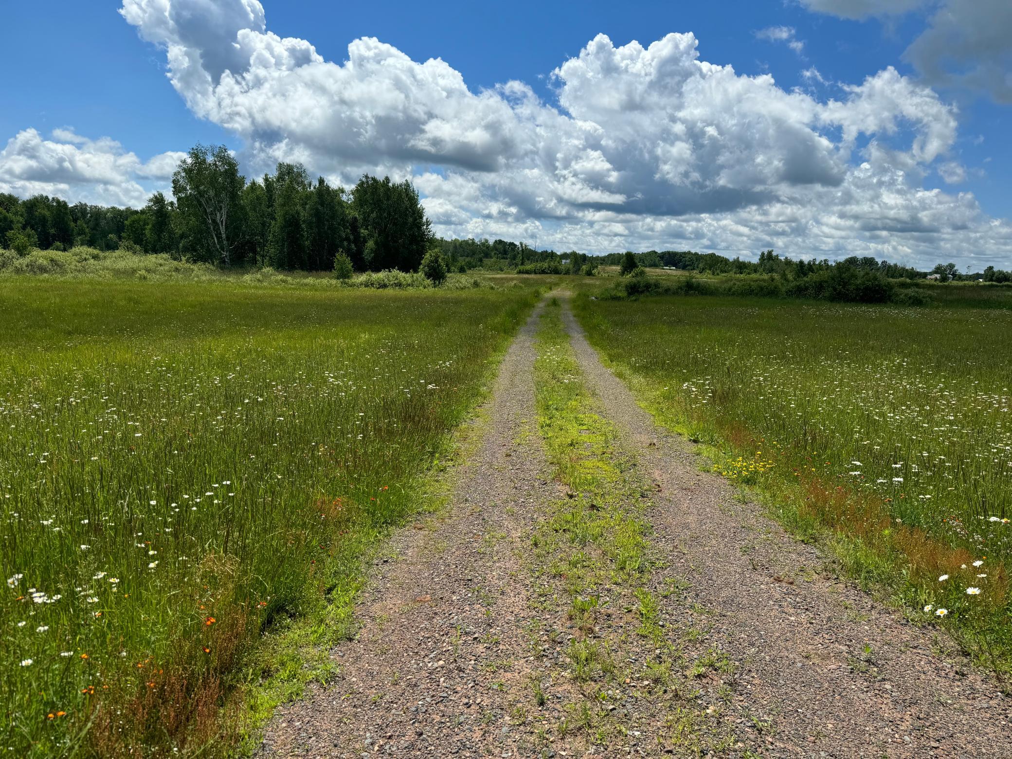 2022 Dixon Line Road Finlayson, MN 55735 - Photo 35 of 64