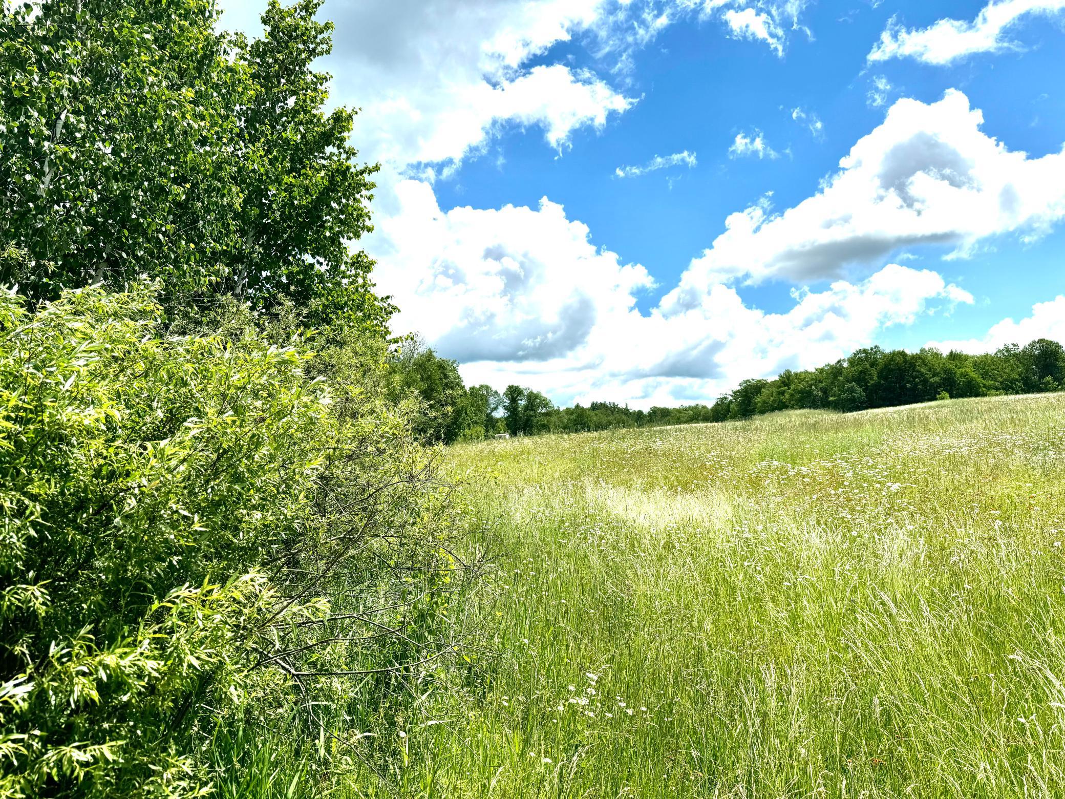 2022 Dixon Line Road Finlayson, MN 55735 - Photo 40 of 64