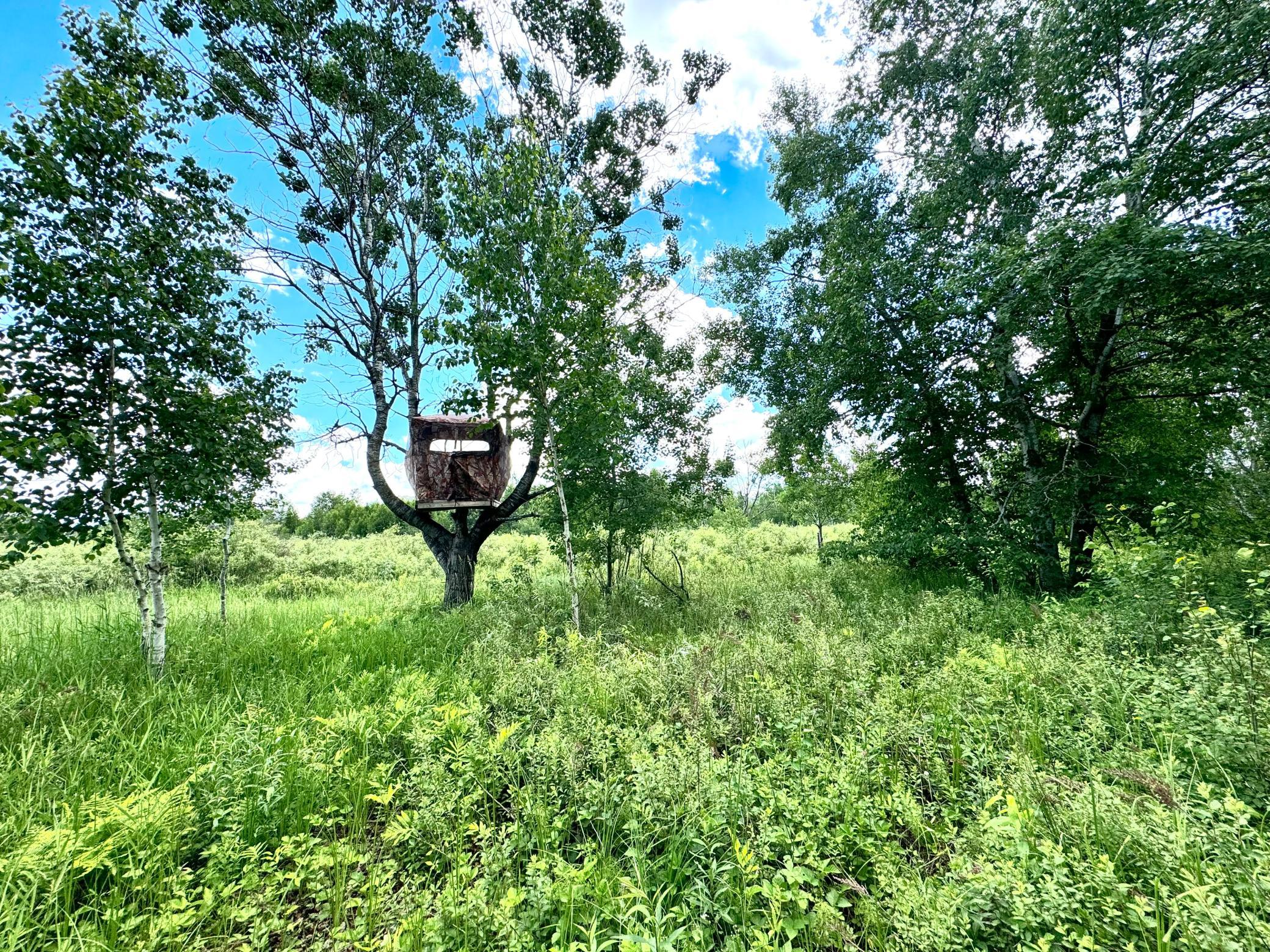 2022 Dixon Line Road Finlayson, MN 55735 - Photo 43 of 64