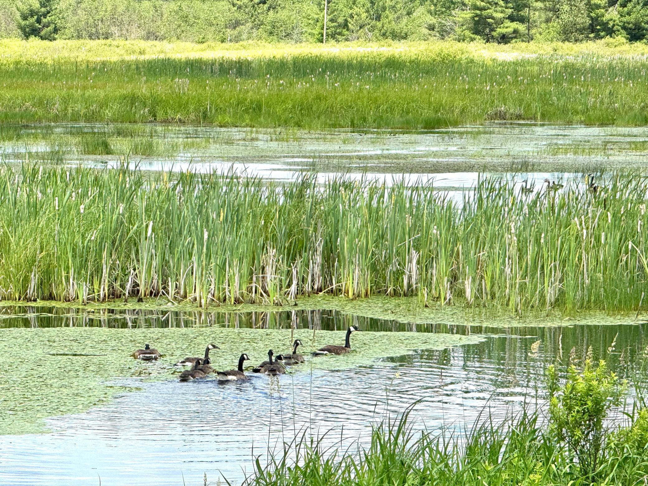 2022 Dixon Line Road Finlayson, MN 55735 - Photo 44 of 64