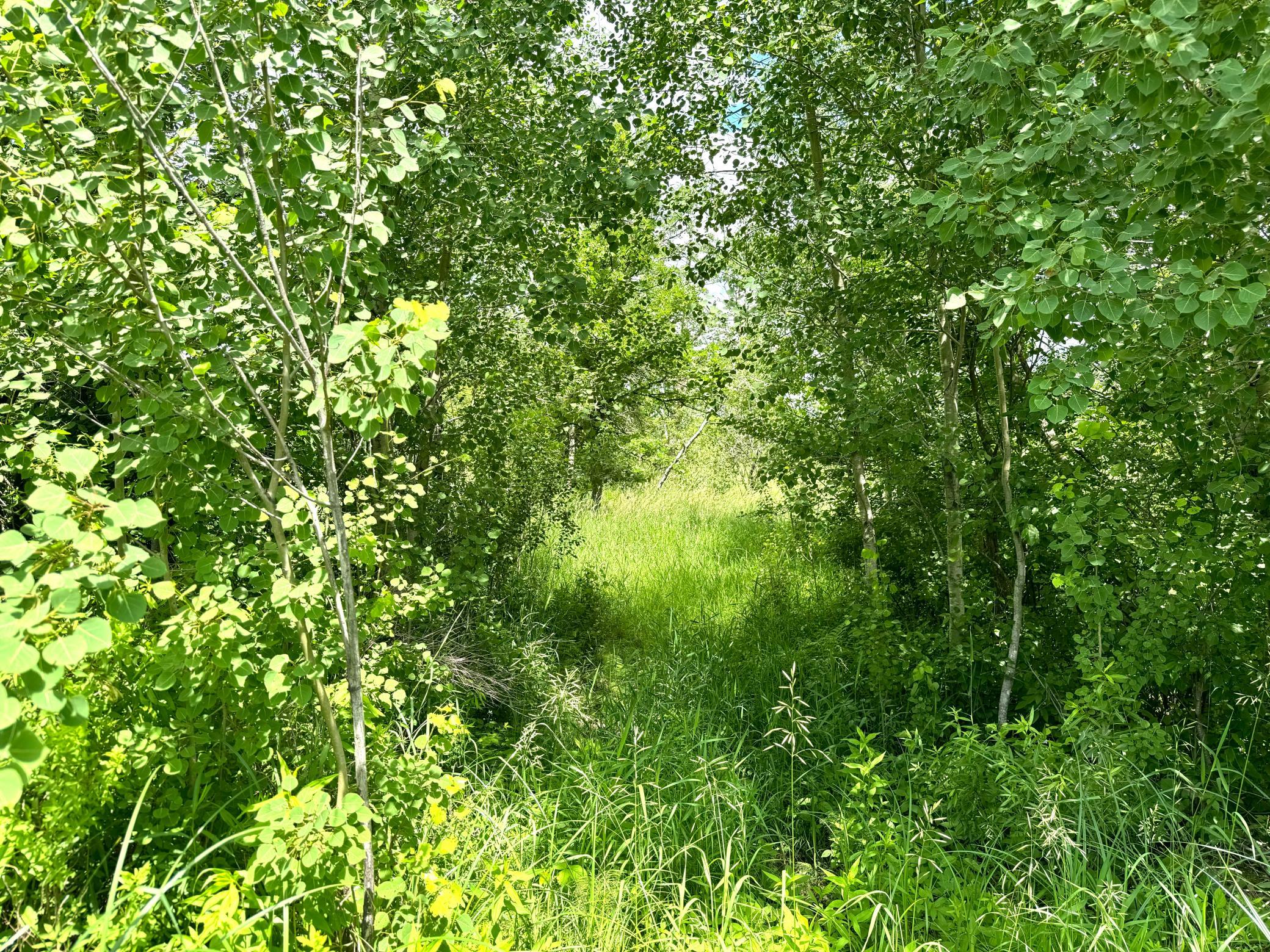 2022 Dixon Line Road Finlayson, MN 55735 - Photo 47 of 64