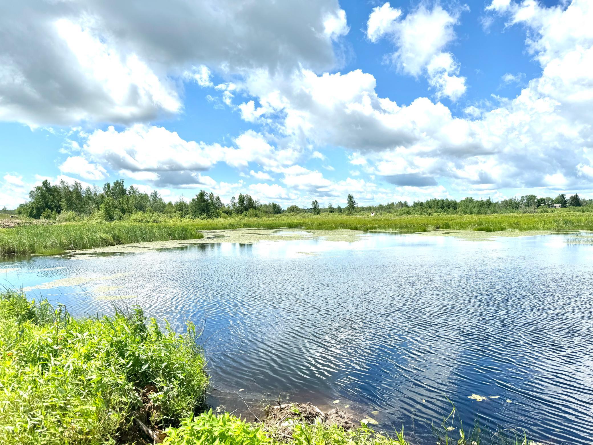 2022 Dixon Line Road Finlayson, MN 55735 - Photo 48 of 64