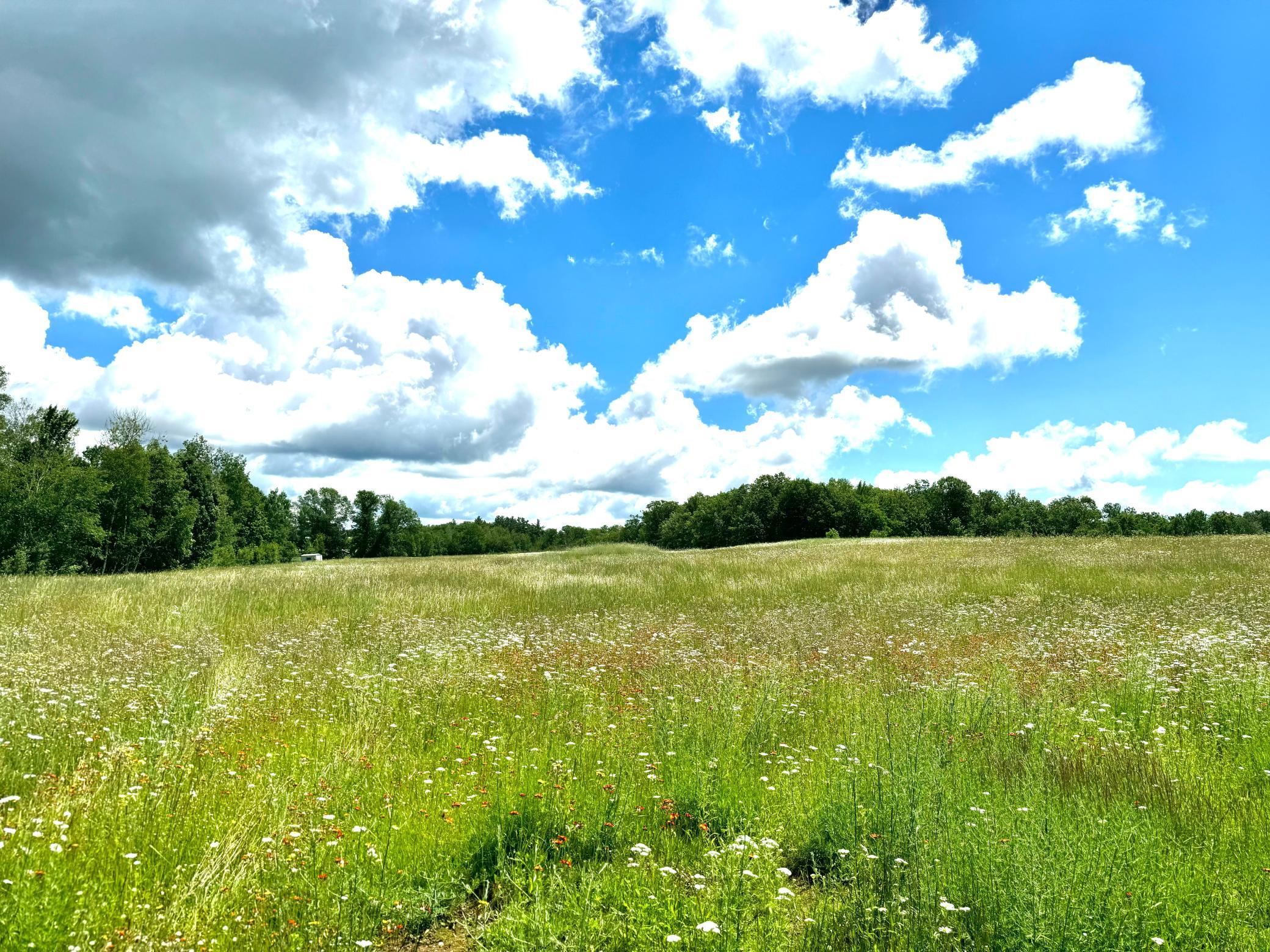 2022 Dixon Line Road Finlayson, MN 55735 - Photo 49 of 64