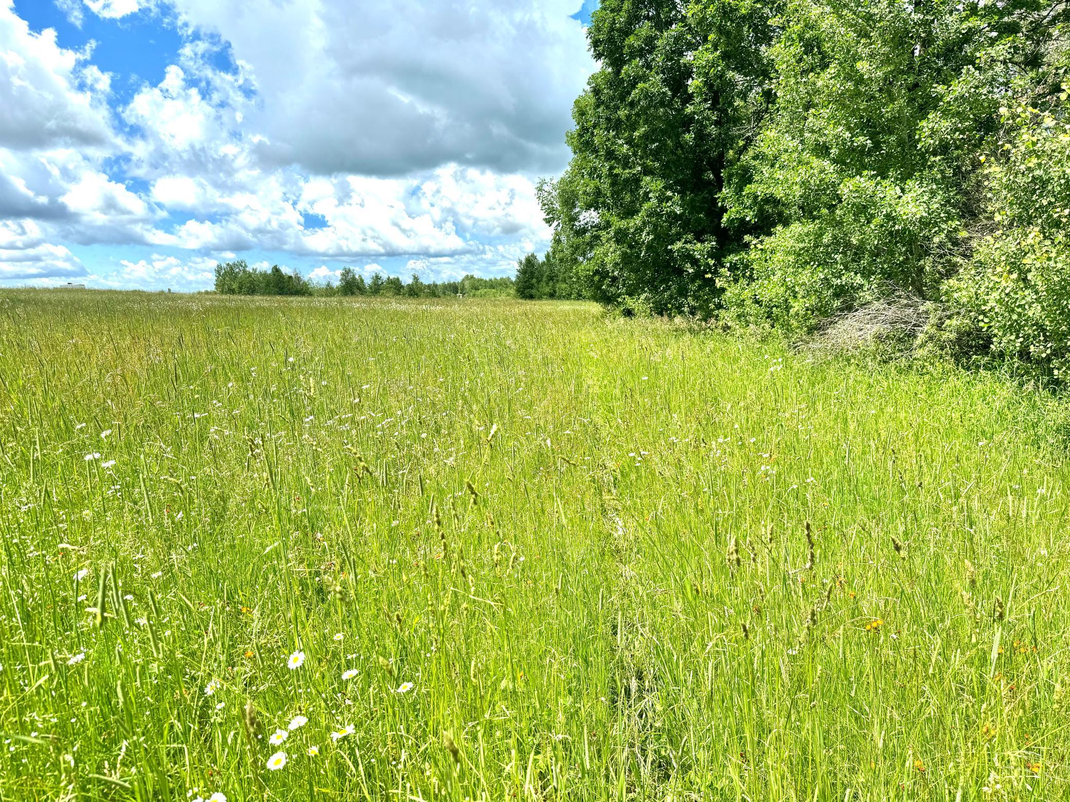 2022 Dixon Line Road Finlayson, MN 55735 - Photo 50 of 64