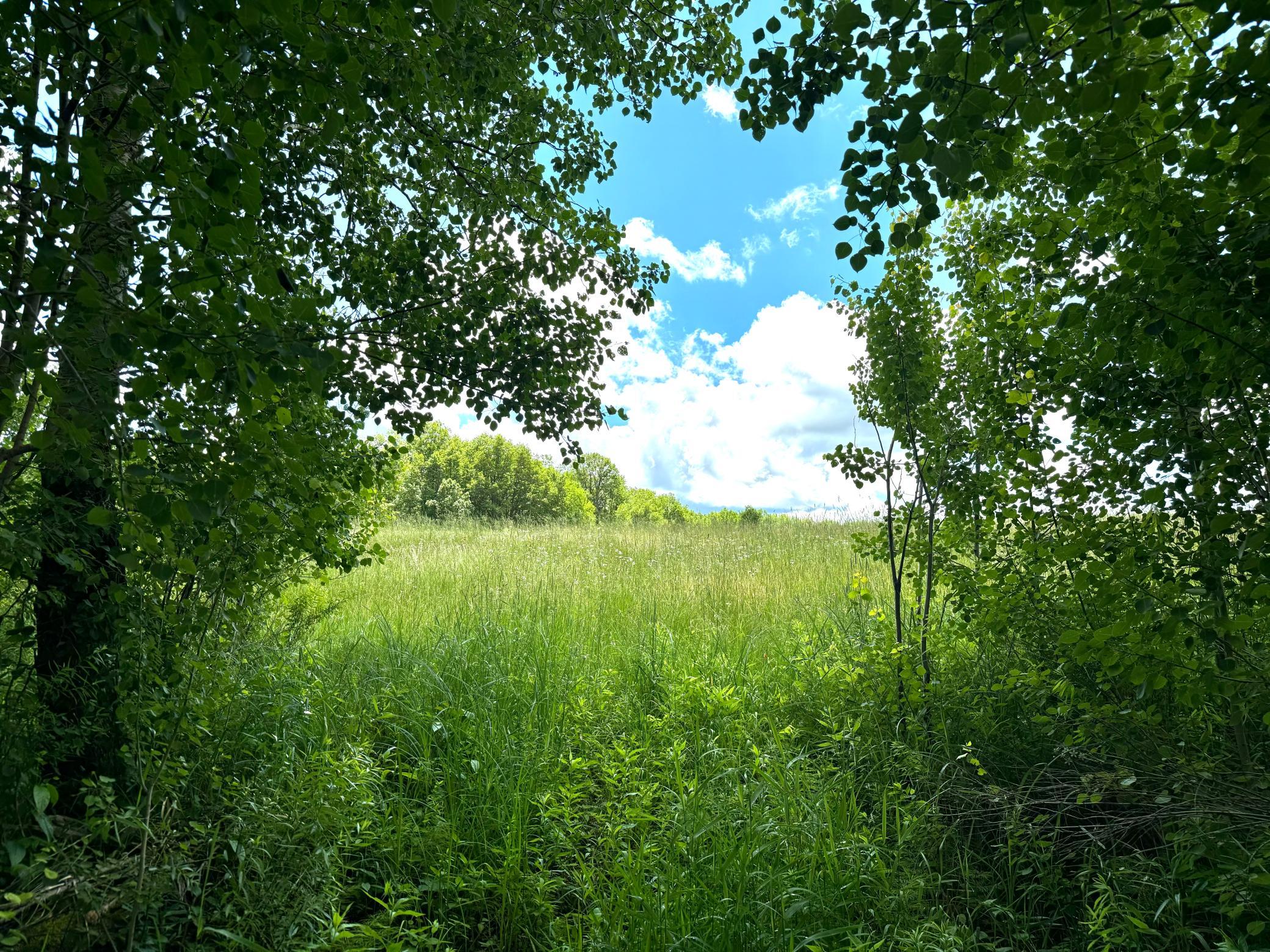 2022 Dixon Line Road Finlayson, MN 55735 - Photo 52 of 64