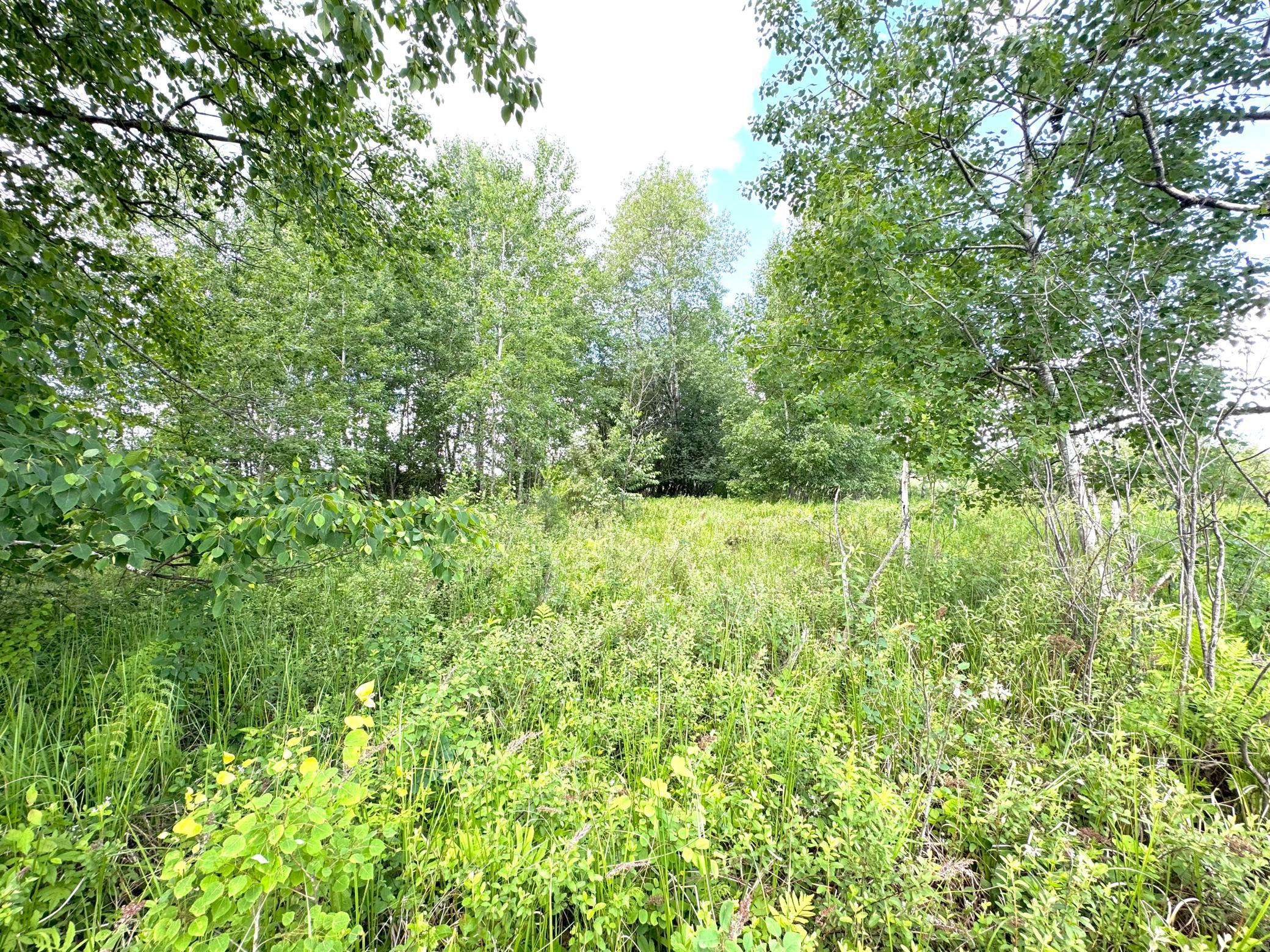 2022 Dixon Line Road Finlayson, MN 55735 - Photo 53 of 64