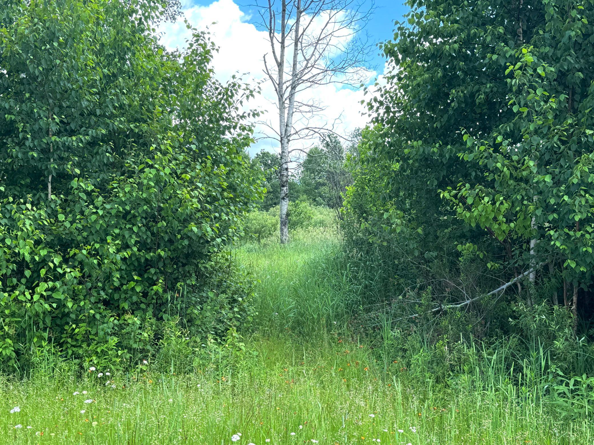 2022 Dixon Line Road Finlayson, MN 55735 - Photo 55 of 64