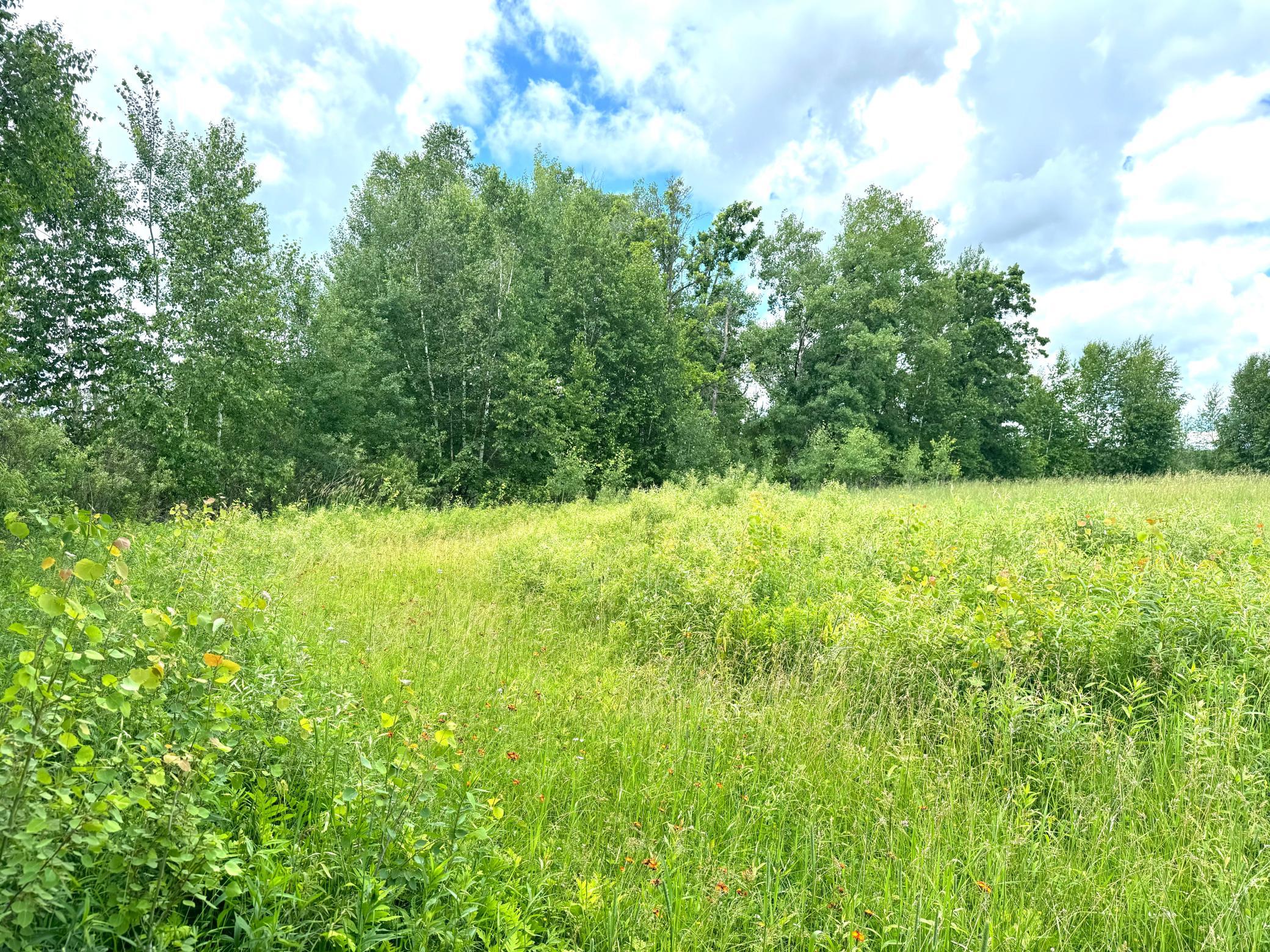 2022 Dixon Line Road Finlayson, MN 55735 - Photo 56 of 64