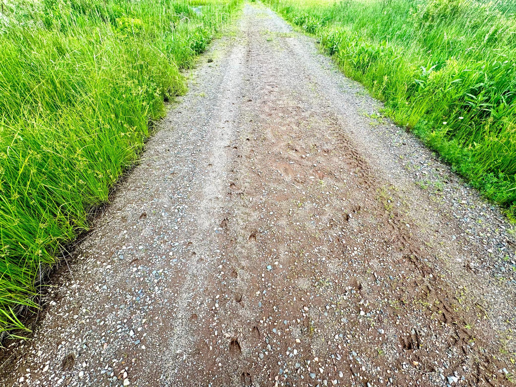 2022 Dixon Line Road Finlayson, MN 55735 - Photo 58 of 64