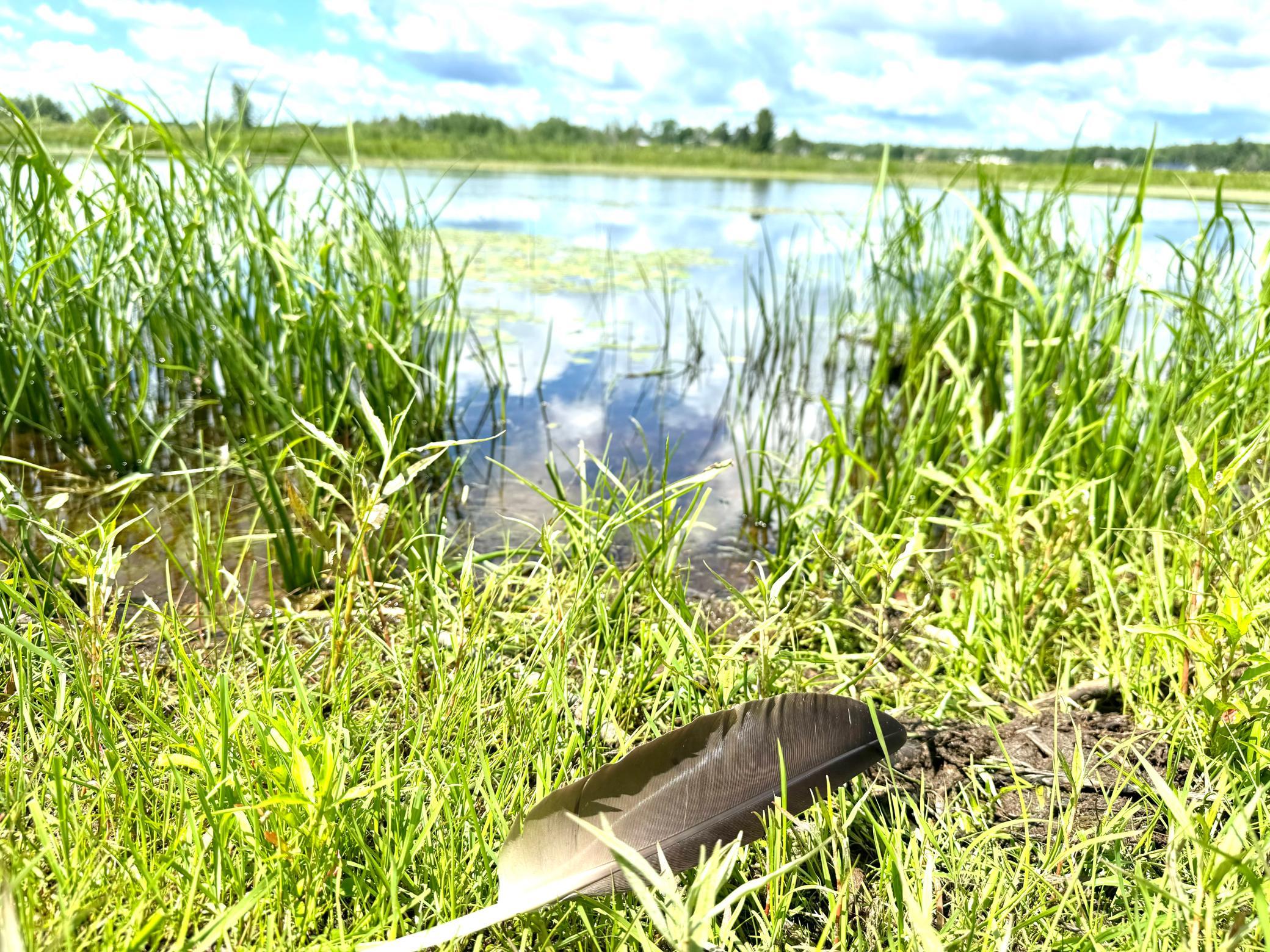 2022 Dixon Line Road Finlayson, MN 55735 - Photo 60 of 64