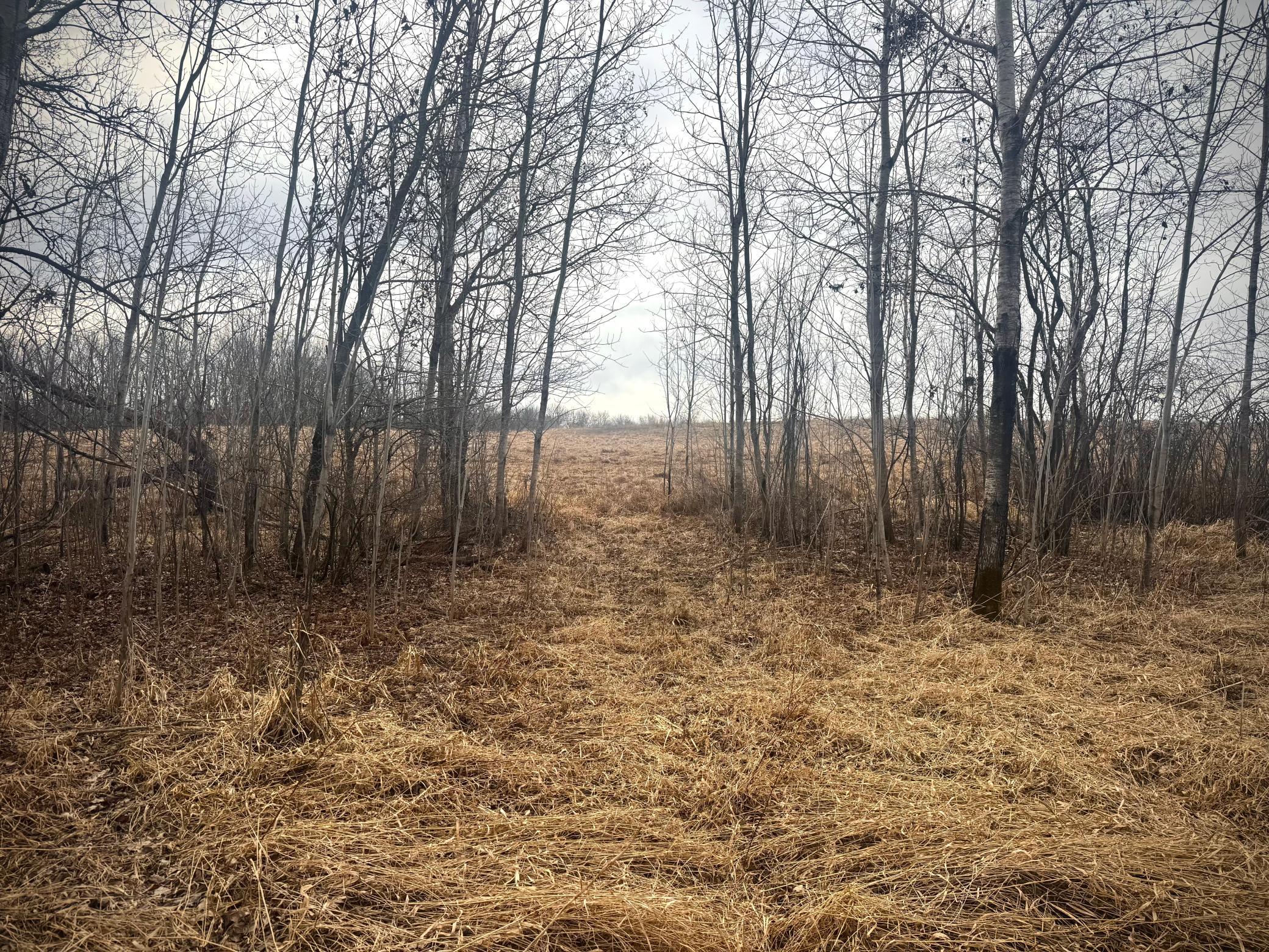 2022 Dixon Line Road Finlayson, MN 55735 - Photo 6 of 64