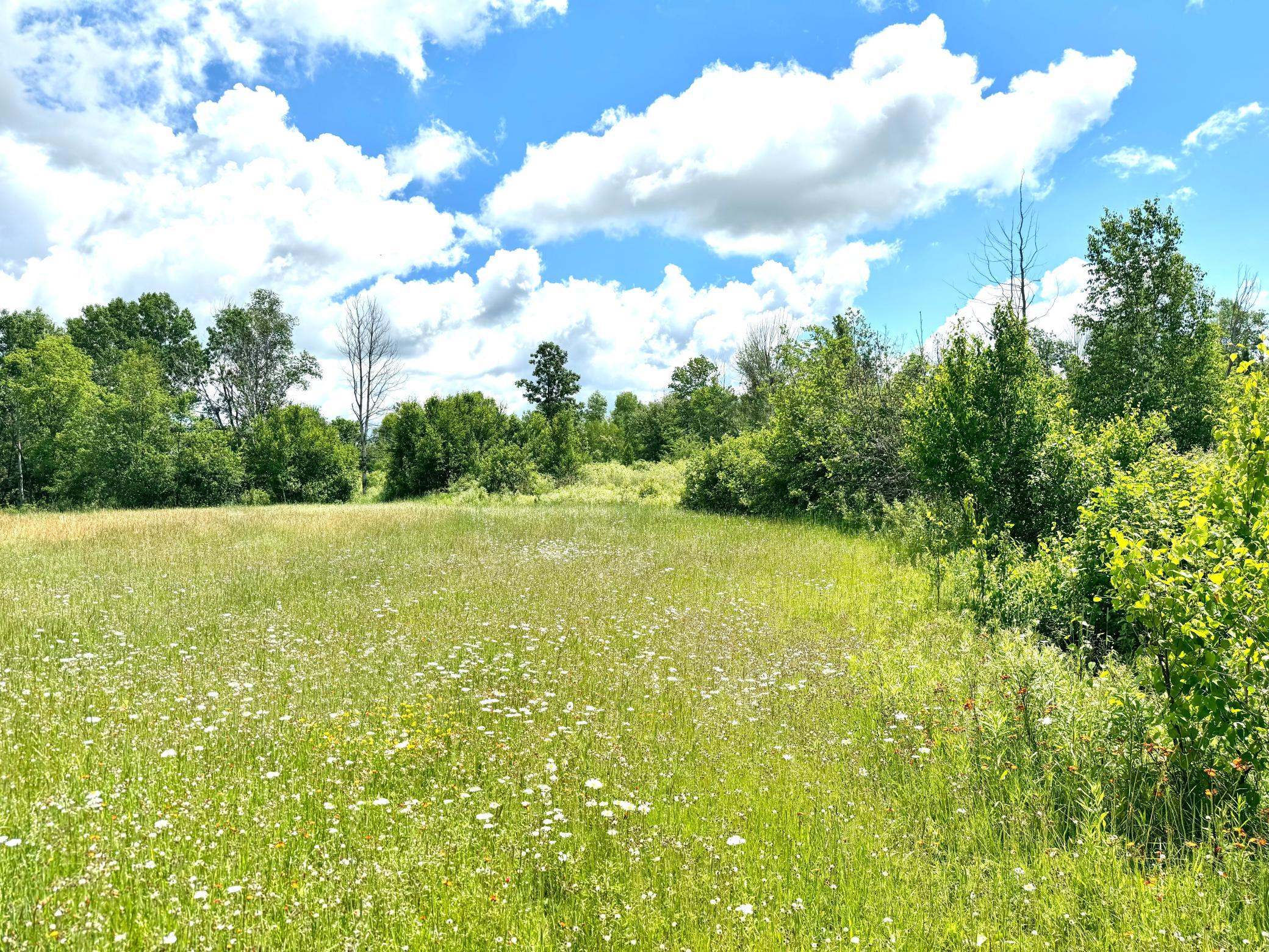 2022 Dixon Line Road Finlayson, MN 55735 - Photo 61 of 64