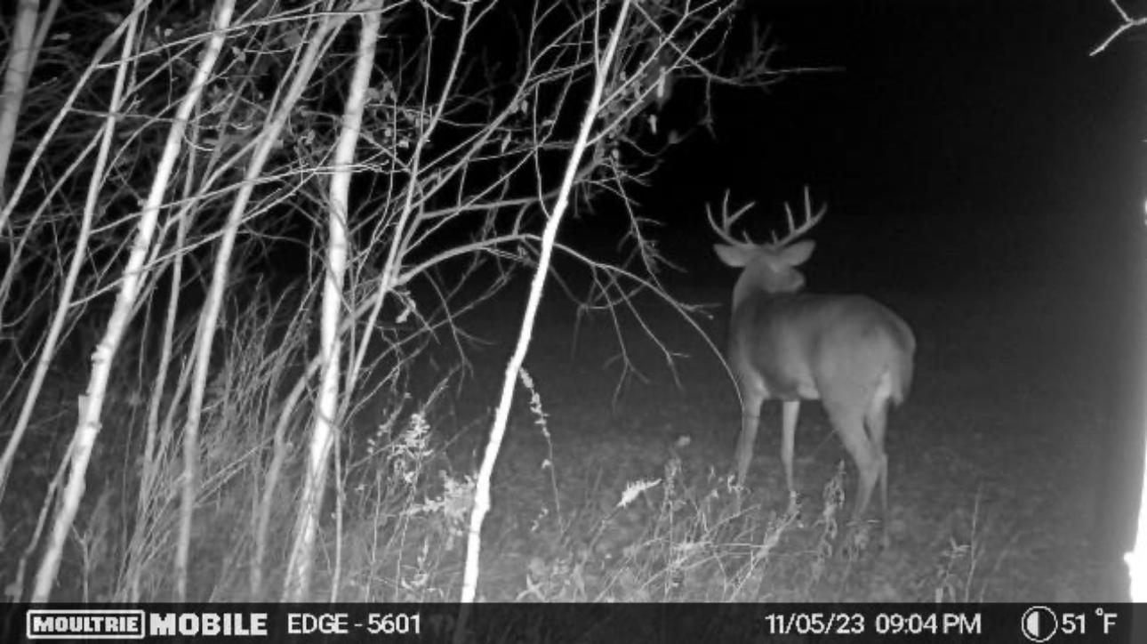 2022 Dixon Line Road Finlayson, MN 55735 - Photo 7 of 64