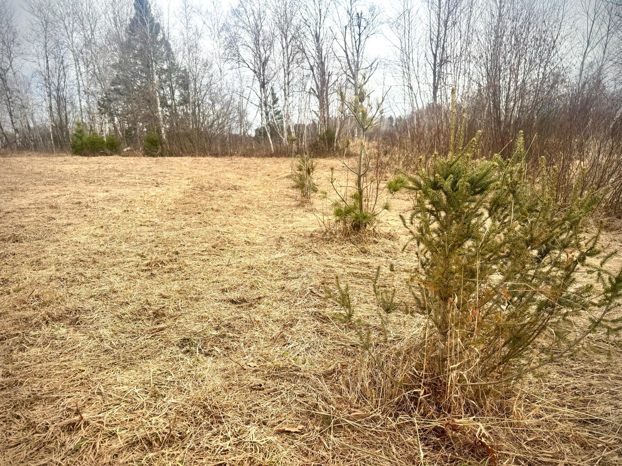 2022 Dixon Line Road Finlayson, MN 55735 - Photo 8 of 64