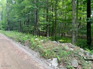 Kilgore Road Newfoundland, PA 18445 - Photo 7 of 7