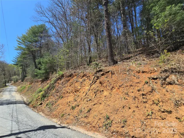 a view of a yard with a tree