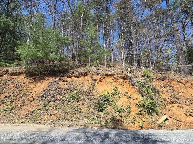 a view of a yard with large trees