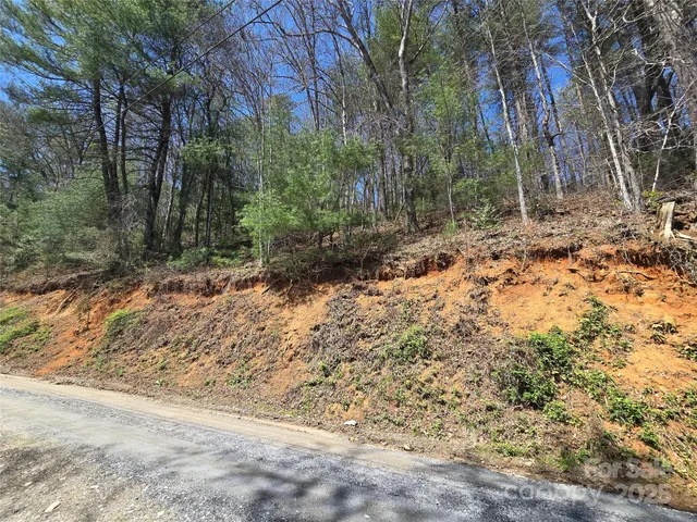a view of a yard with trees