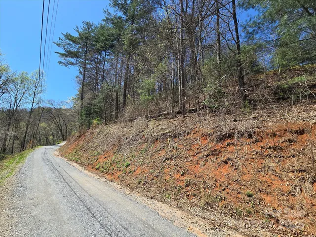 a view of a backyard with large trees