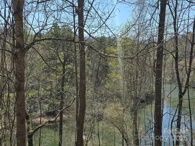 a backyard of a house with lots of trees