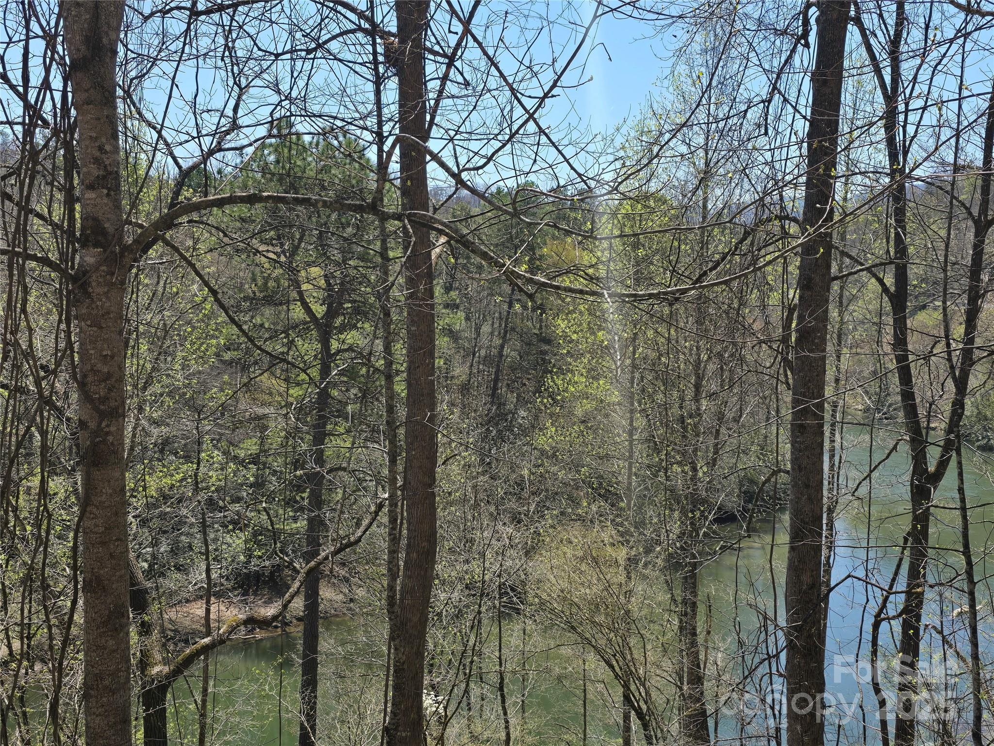 0 Riverside Drive, Unit 18 Whittier, NC 28789 - Photo 7 of 10 Gallery Image 7