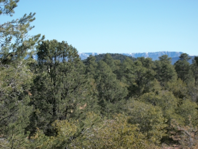 1101 Milk Ranch Point Payson, AZ 85541 - Photo 15 of 19 View