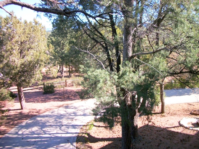 1101 Milk Ranch Point Payson, AZ 85541 - Photo 17 of 19 Yard