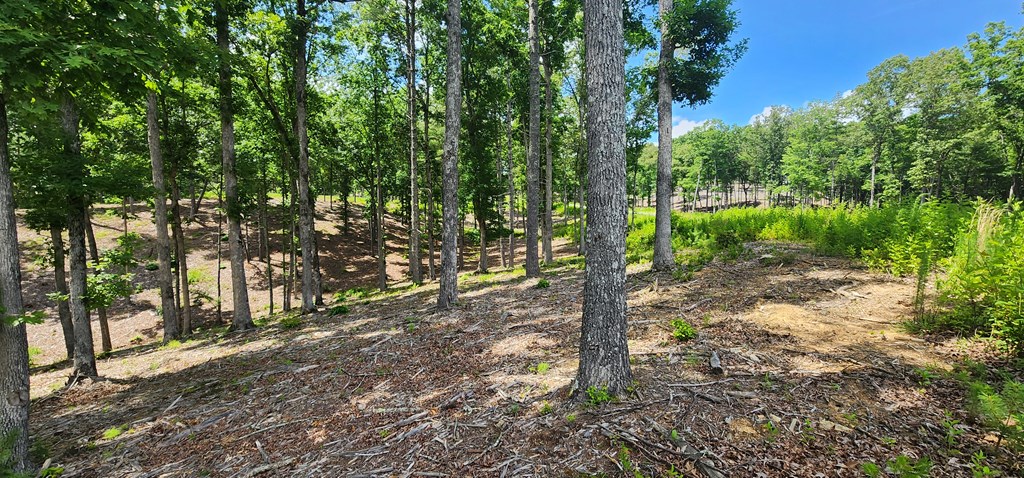 106 Split Creek Road Morganton, GA 30560 - Photo 4 of 10 Gallery Image 4